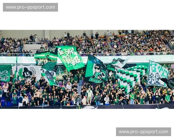 巅峰对决！国安vs首尔比分背后的血性与荣耀，谁才是亚洲赛场的真王者？